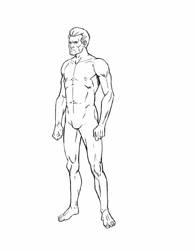 798x1024 How To Draw The Human Body Step - Human Male Body Drawing