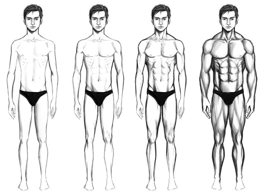 900x671 drawing men male body shape for free download - Human Male Body Drawing