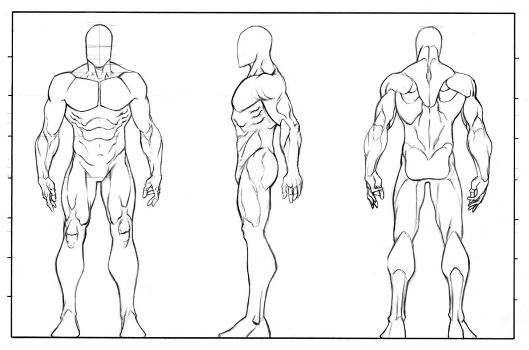 1050x695 anime male body drawing template anime collection - Human Male .....