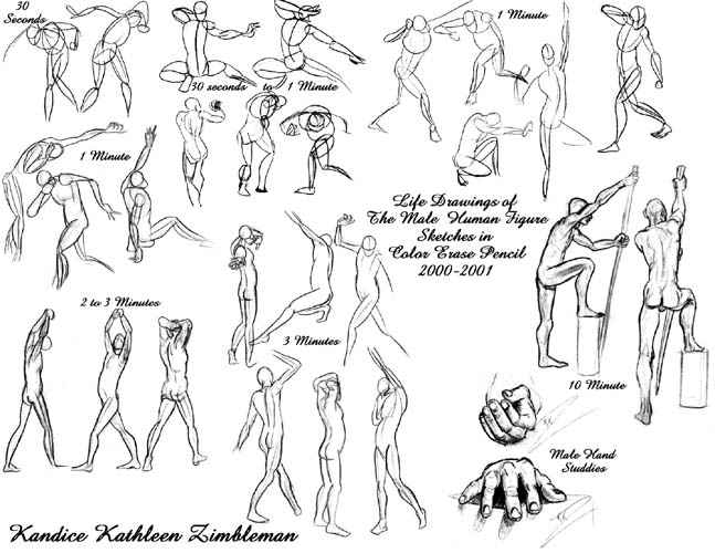 647x500 anime male figure drawing anime collection - Human Male Body Drawing