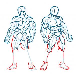302x302 how to draw muscles, step - Human Muscles Drawing