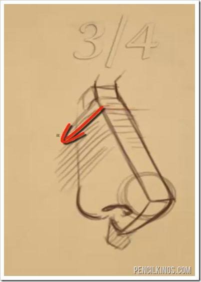 402x563 How To Draw A Nose For Beginners - Human Nose Drawing