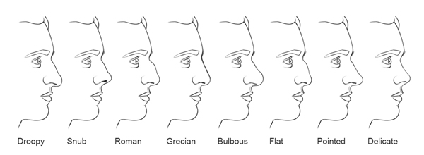 600x220 jeff searle drawing the nose - Human Nose Drawing