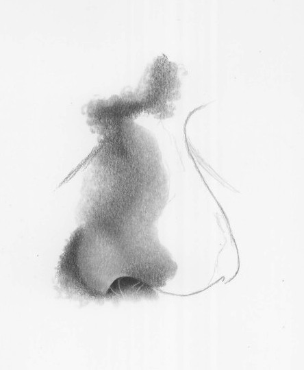 444x540 nose drawing tutorial, how to draw a nose - Human Nose Drawing