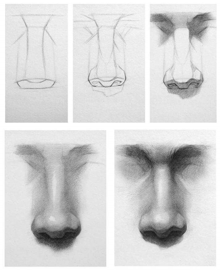 713x880 This Will Help With Drawing Noses And Getting The Human Nose Right - Human Nose Drawing