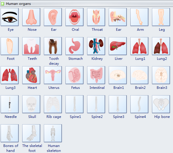 600x532 human organs diagram symbols - Human Organs Drawing