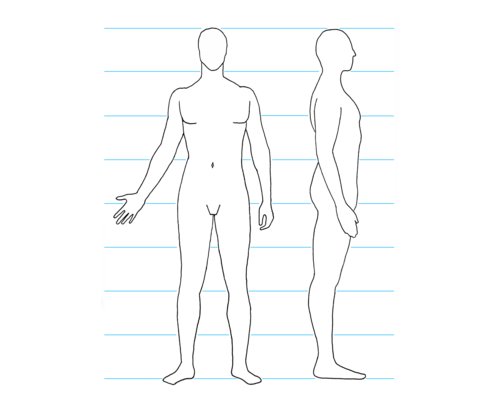 500x402 Human Figure Outline Group With Items - Human Outline Drawing