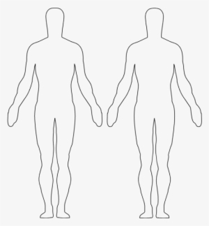 300x324 Human Outline Png, Free Hd Human Outline Transparent Image - Human Outline Drawing