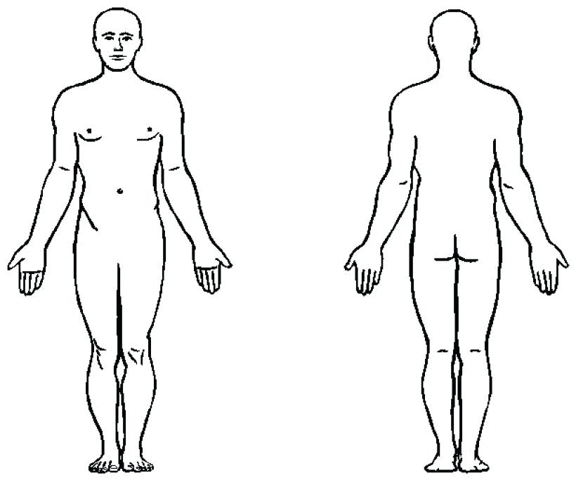 820x683 Medical Human Body Outline Drawing At Free For Pics Of Parts - Human Outline Drawing
