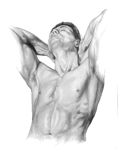 396x500 Painting A Day - Human Pencil Drawing