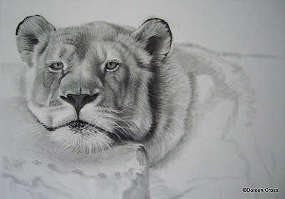400x279 Detailed Pencil Drawings Of Animals And People - Human Pencil Drawing