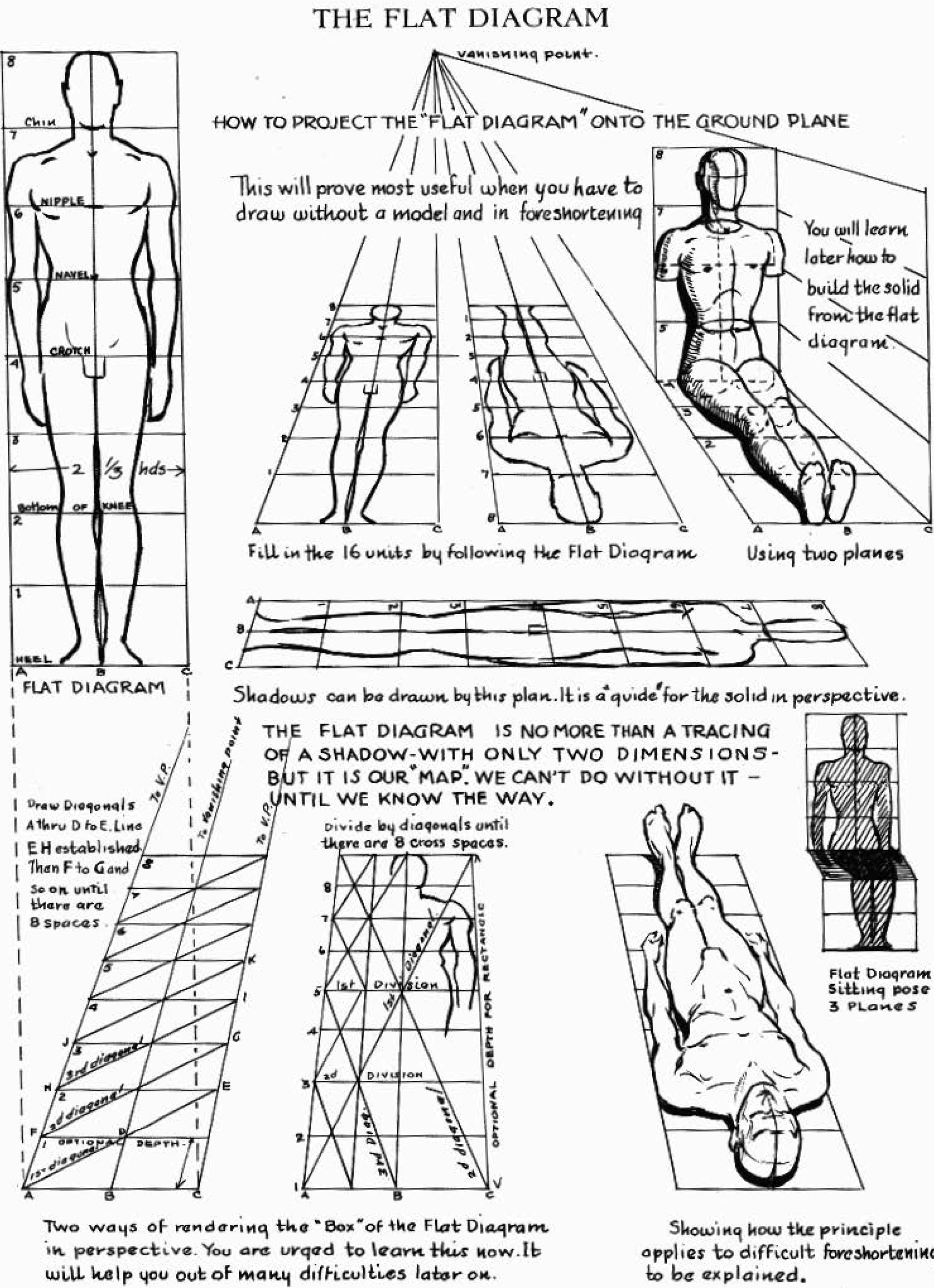 1800x2483 proportions of the human figure how to draw the human figure - Human Perspective Drawing
