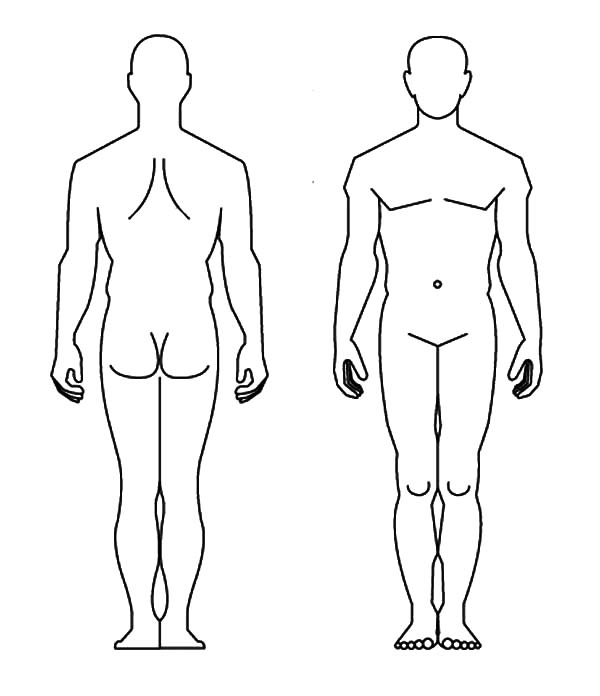 600x696 human body drawing picture drawing skill - Human Picture Drawing