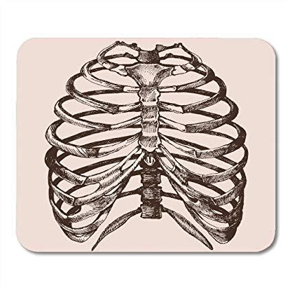 425x425 Emvency Mouse Pads Ribcage Human Rib Cage - Human Rib Cage Drawing