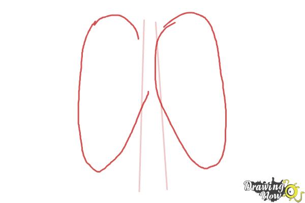 600x400 How To Draw A Rib Cage - Human Rib Cage Drawing