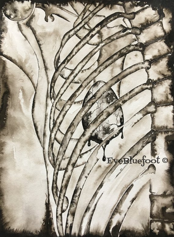 570x777 Rib Cage Fine Art Print Human Ribs Illustration Etsy - Human Rib Cage Drawing