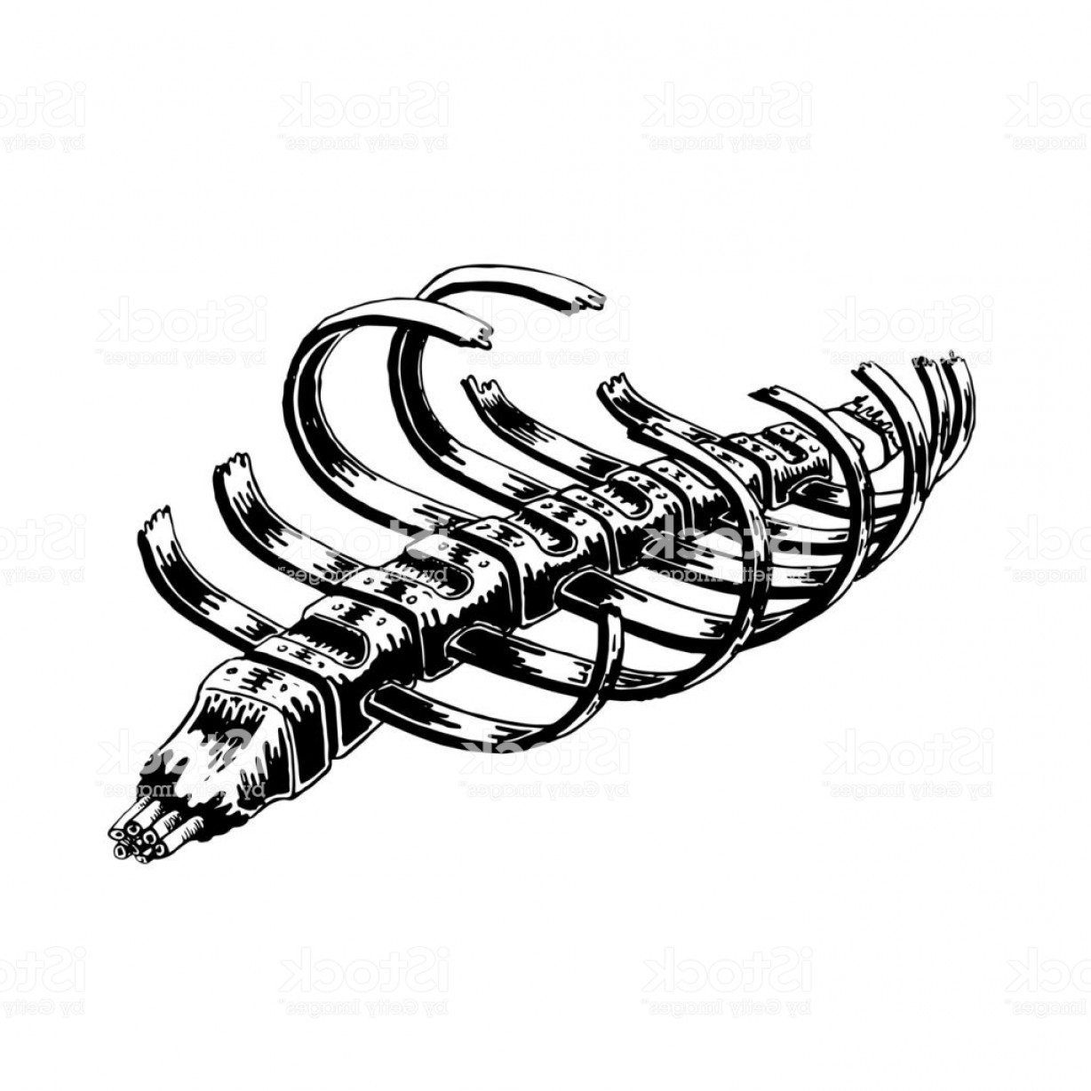 1228x1228 Drawn Ribs - Human Ribs Drawing
