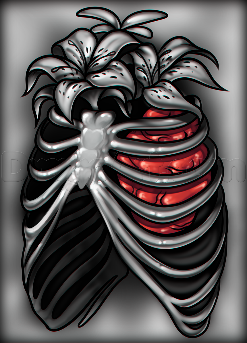 860x1193 How To Draw A Rib Cage Tattoo, Step - Human Ribs Drawing