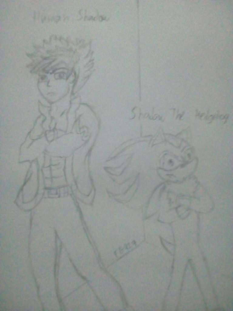 768x1024 human shadow and shadow the hedgehog drawing sonic the hedgehog - Human Shadow Drawing