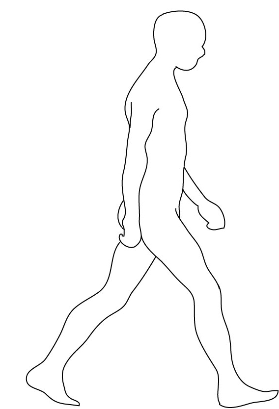 568x834 Gallery Human Silhouette Outline - Human Silhouette Drawing
