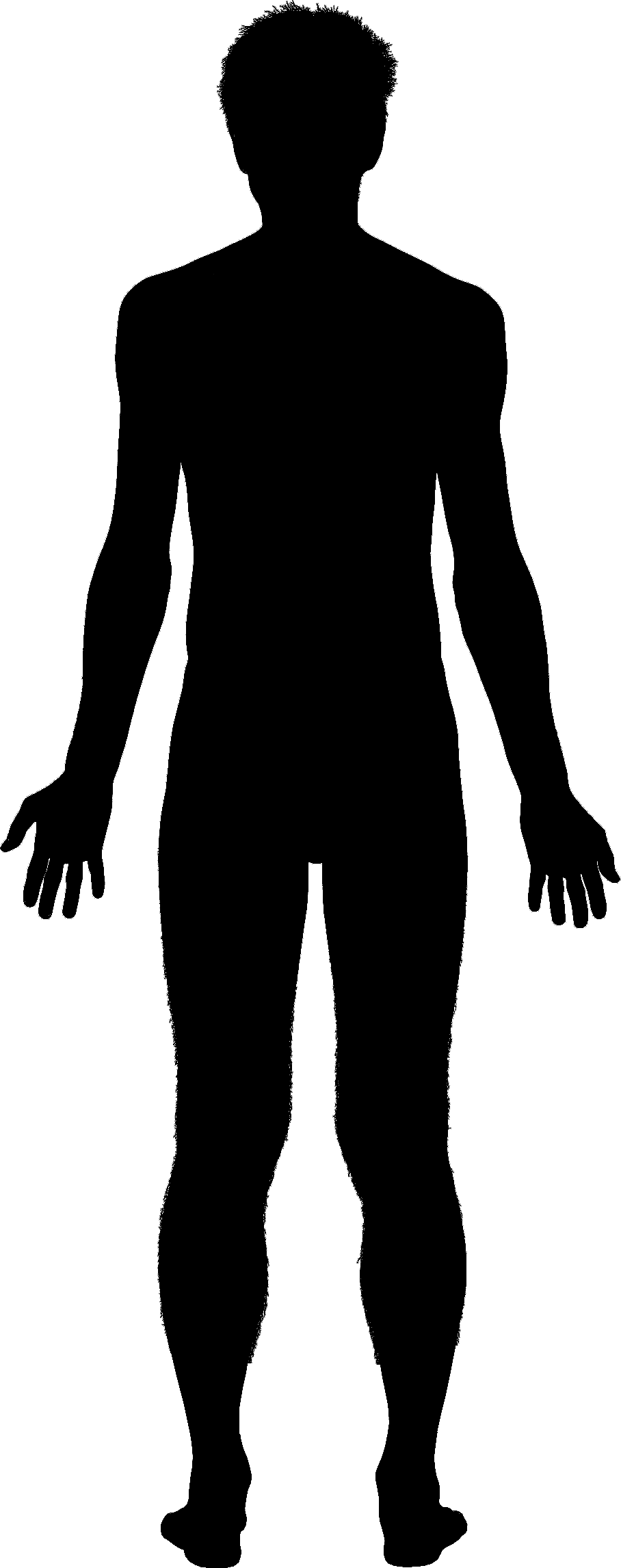 908x2291 Silhouette Drawing Body For Free Download - Human Silhouette Drawing