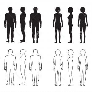 300x300 Stock Illustration Human Body Anatomy Vector Man Woman Silhouette - Human Silhouette Drawing