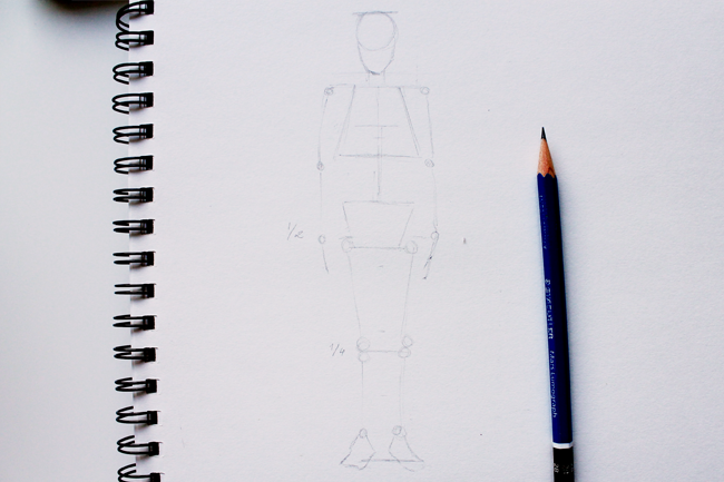 650x433 Tips For Drawing The Human Skeleton - Human Skeletal System Drawing