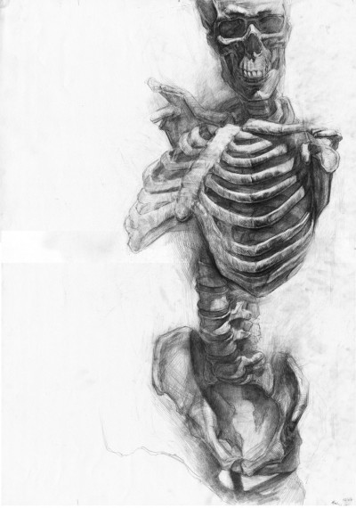 400x570 Skeleton Drawing Tumblr - Human Skeleton Drawing
