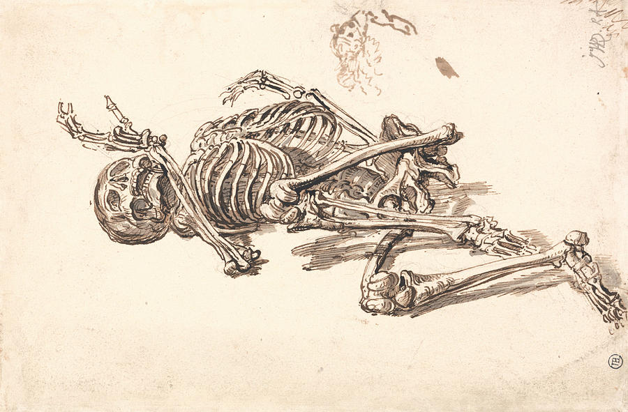 900x591 A Human Skeleton Drawing - Human Skeleton Drawing