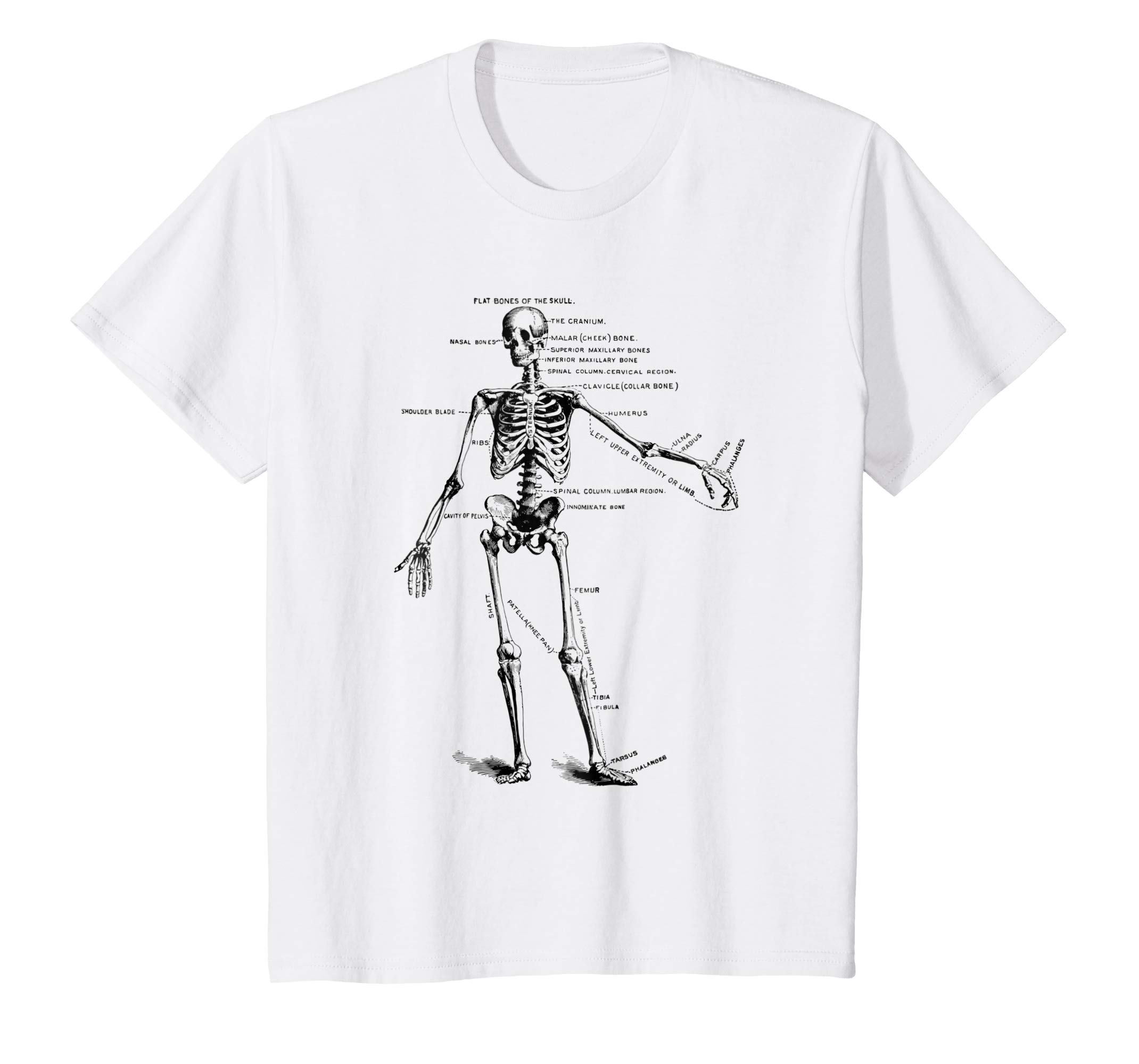 2140x2000 Human Skeleton Anatomy Drawing Diagram T Shirt Clothing - Human Skeleton Drawing
