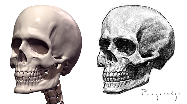 625x349 How To Draw A Skull - Human Skull Drawing