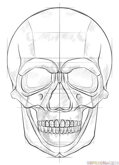 415x575 how to draw a human skull step - Human Skull Drawing