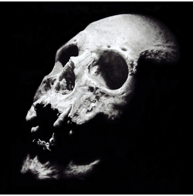 655x665 human skull original charcoal drawing rebelsmarket - Human Skull Drawing