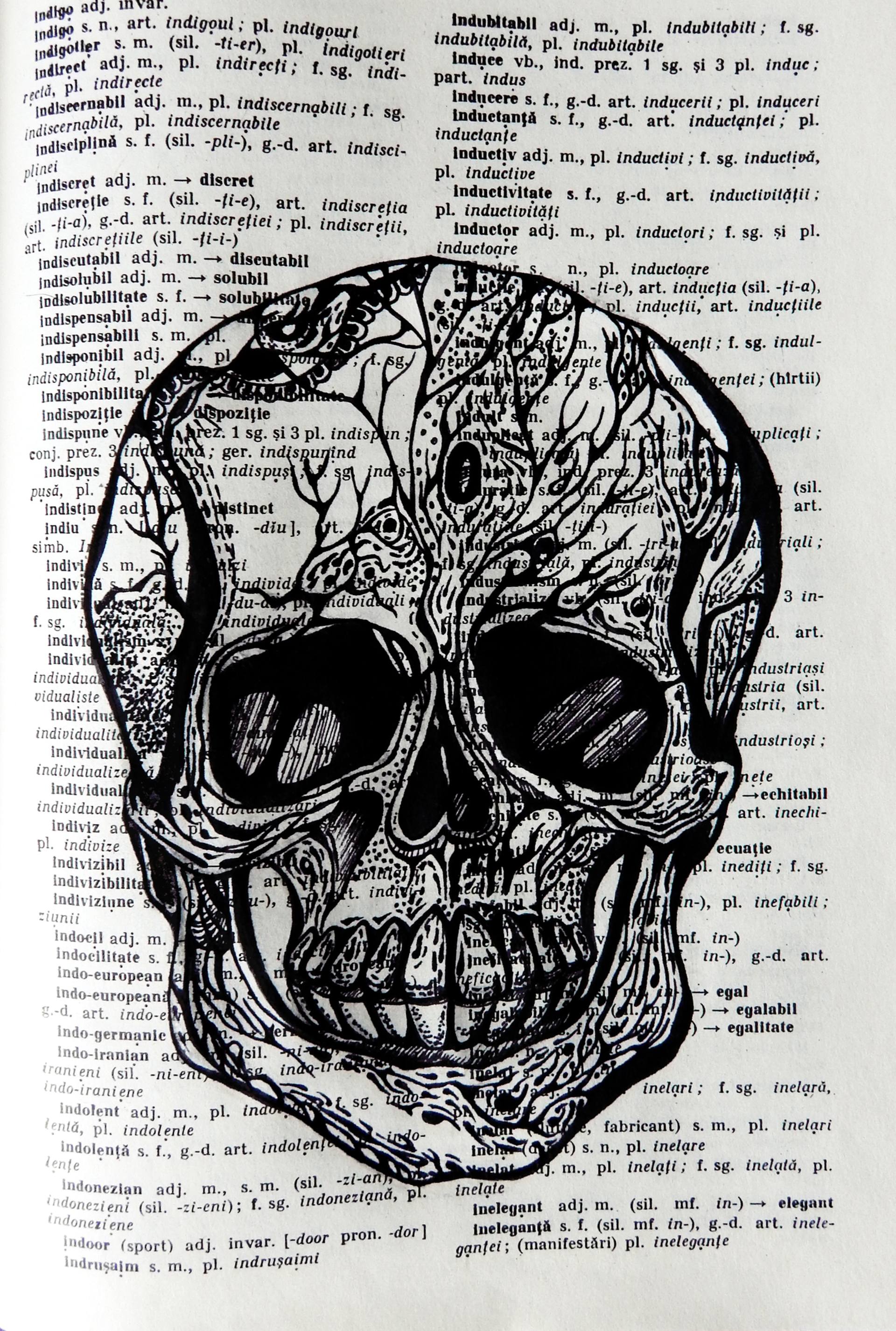 1920x2851 human skull experiment drawing - Human Skull Drawing
