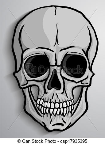 342x470 human skull vector human skull over gray background freehand - Human Skull Drawing