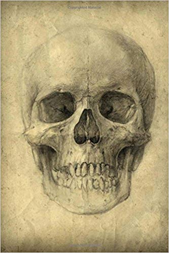 333x499 Drawing - Human Skull Drawing