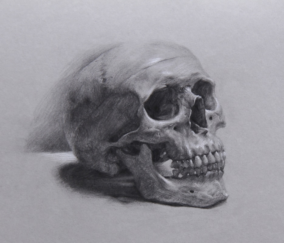 Form Charcoal Human Skull And Eye - Human Skull Drawing Reference. 