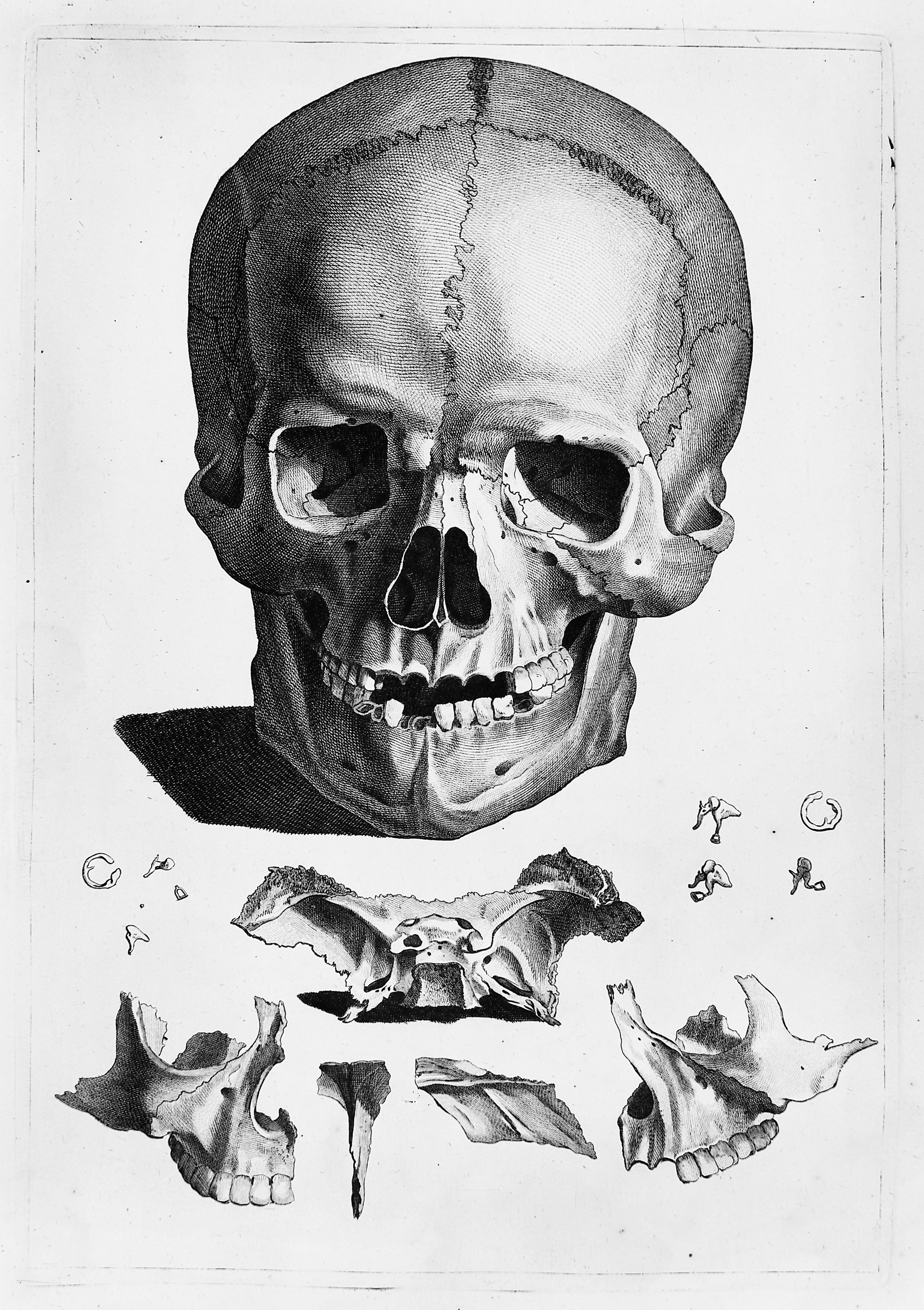 2750x3897 human skeleton drawing reference lovely skull with drawing - Human Skull Drawing Reference