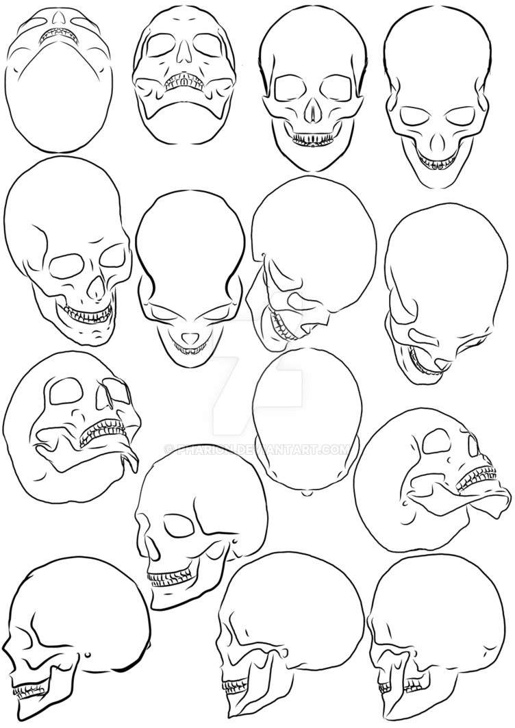 752x1063 Skull Angle - Human Skull Drawing Reference