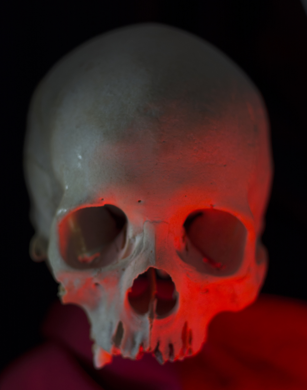 1000x1271 weird facts about the human skull - Human Skull Drawing Reference