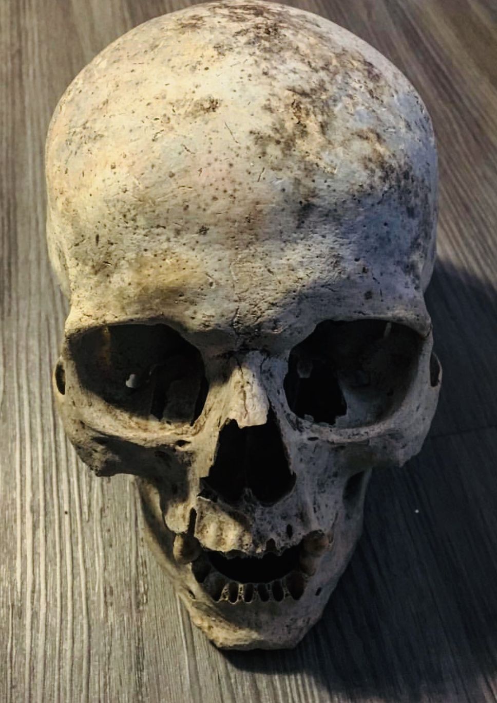 968x1367 Skull - Human Skull Drawing Reference