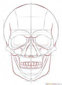 236x326 Help For Drawing Tutorial - Human Skull Drawing Tutorial