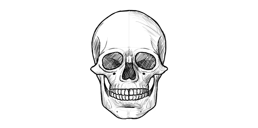 850x421 How To Draw A Skull - Human Skull Drawing Tutorial