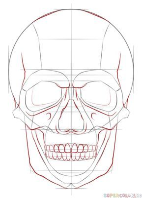289x401 How To Draw A Human Skull Step - Human Skull Drawing Tutorial