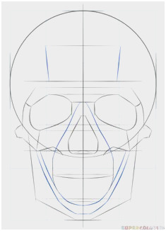 235x326 human sketch tutorial fabulous how to draw a human skull step - Human Skull Drawing Tutorial