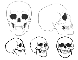 260x200 Photos Skull Drawing Tutorial - Human Skull Drawing Tutorial