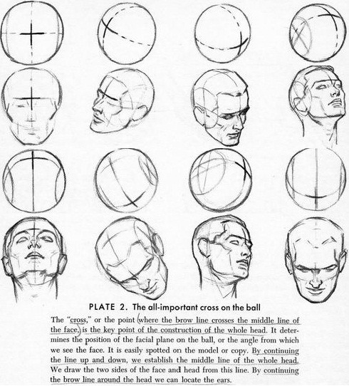 490x542 Drawing Art Head Draw Skull View Human Anatomy Turn Direction - Human Skull Drawing Tutorial