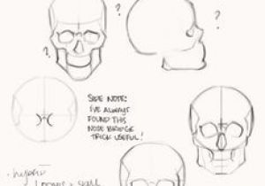 300x210 drawing a skull tutorial how to draw a human skull step - Human Skull Drawing Tutorial