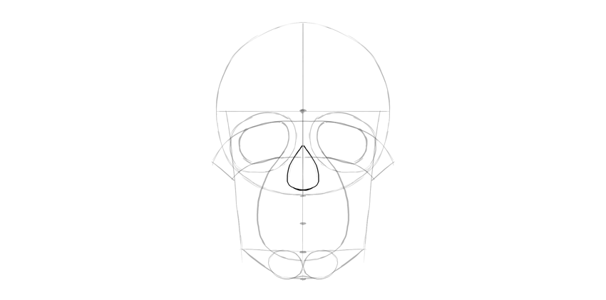 850x421 How To Draw A Skull - Human Skull Line Drawing