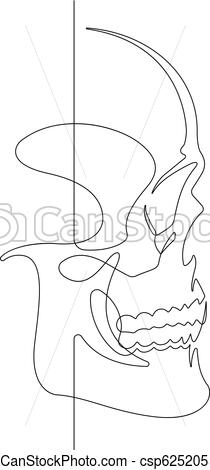 210x470 Human Skull Continuous Vector Line Art Illustration Ii This Is - Human Skull Line Drawing